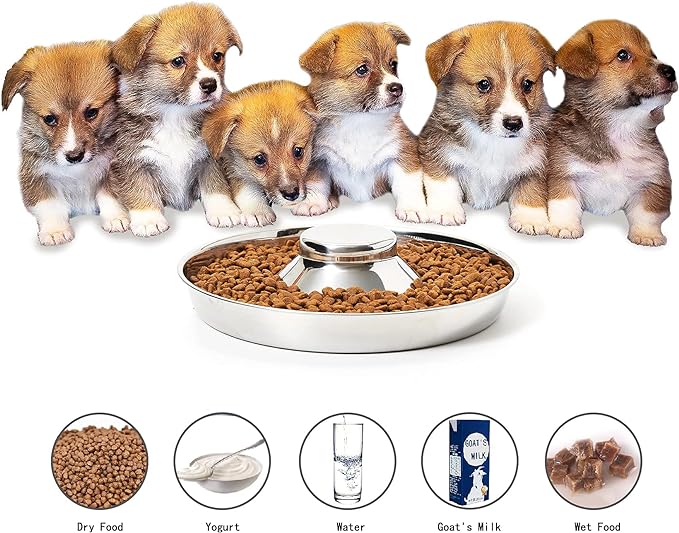 Stainless Steel Slow Food Bowl Puppy Weaning Bowls Cat Bowls for Food Water