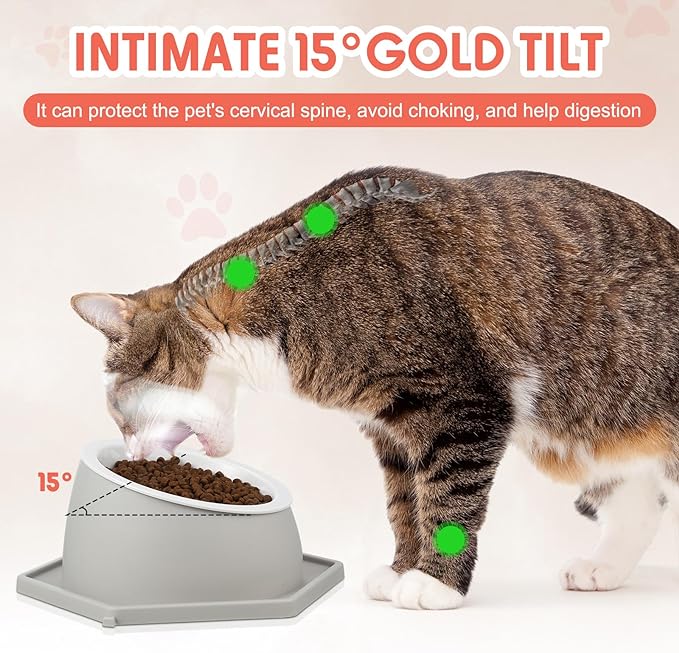 PG-0333 Raised pet Bowl Tilted 15° Slanted Dog Bowls Tilted Cat Food Bowls