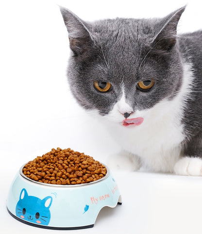 Melamine Plastic blue cat Dog Food Bowl