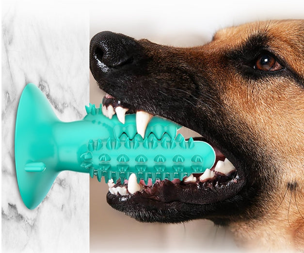 Brinquedos para mastigar cães para bastão molar de cacto agressivo 