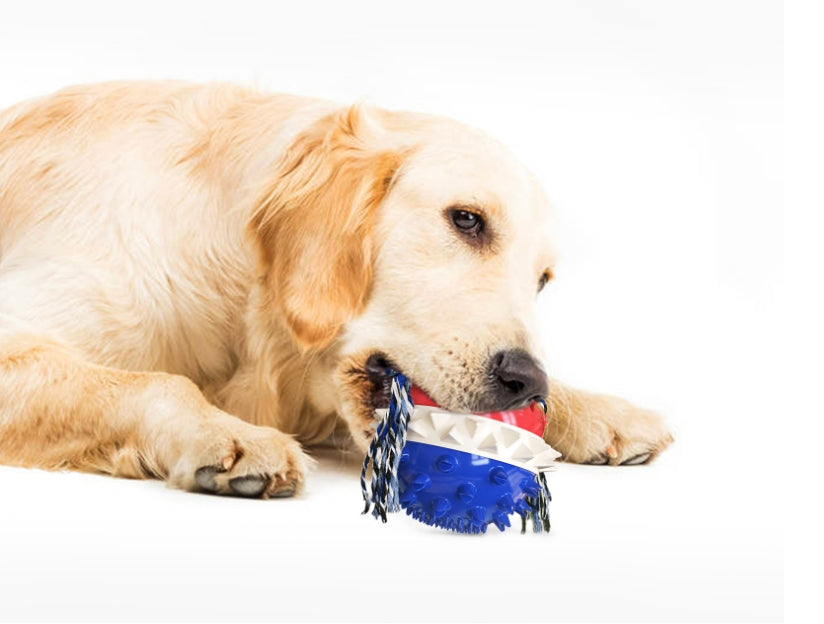 bastão de dentição para cachorrinho faz com que um brinquedo de cachorro faça uma bola vazar