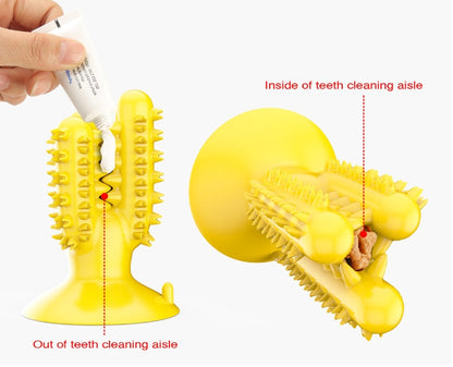 Brinquedos para mastigar cães para bastão molar de cacto agressivo 