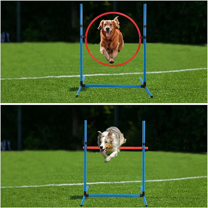 PG-0499   Dog Agility Equipment with Adjustable Height Jump Bars and Carry Bag