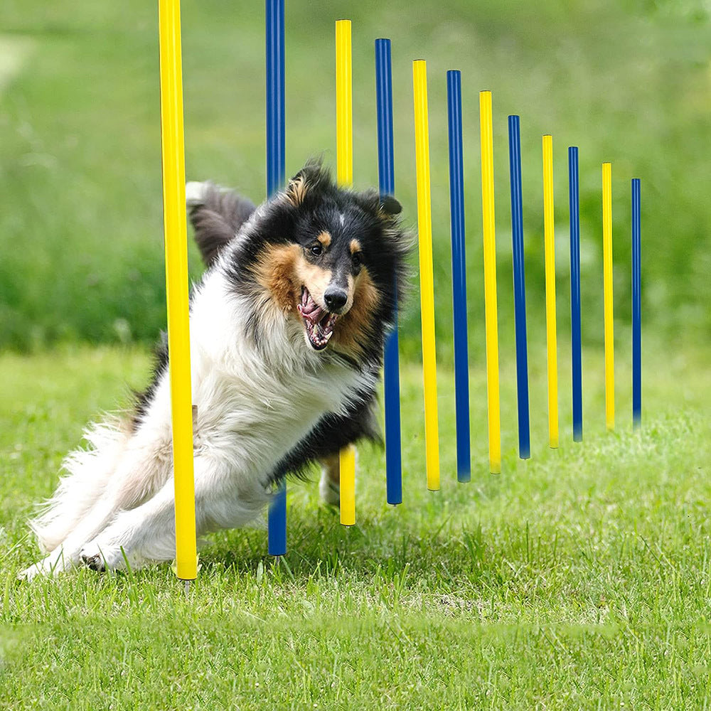 PG-0500 Barra de marcador de obstáculos para treinamento de agilidade de cães, treinador de barra de cobra sensível para cães de trabalho