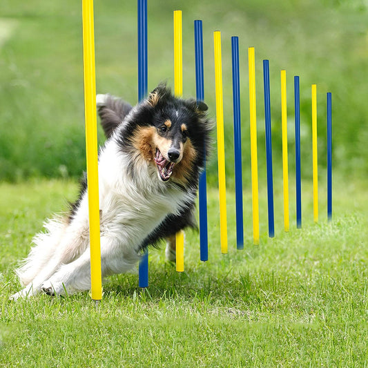 PG-0500   Dog agility training obstacle marker bar Working dog sensitive snake bar trainer