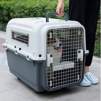 PG-0488 Transportador para animais de estimação com janela de arame, grande capacidade, caixa de seleção, transportador portátil para cães e gatos 