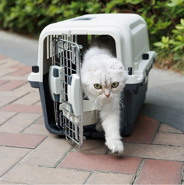 PG-0484 Porta-animais de estimação de plástico portátil com rede Animais de pequeno e médio porte fora da remessa transportadora aérea destacável para gatos 