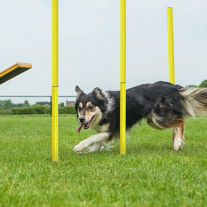 PG-0500 Barra de marcador de obstáculos para treinamento de agilidade de cães, treinador de barra de cobra sensível para cães de trabalho