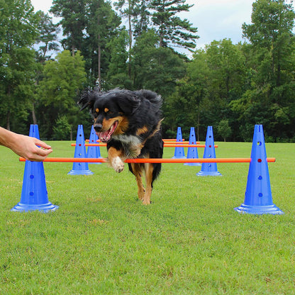 PG-0497   Dog Jump the circle pole obstacle course