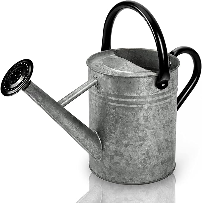 PG-0212   1 Gallon Galvanized Metal Watering Can for Outdoor Plants  – Decorative Farmhouse Style Watering Pot with Removable Spout