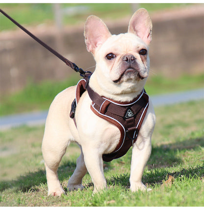 PG-0190 Coleira para cães pequenos, colete para animais de estimação, cinta peitoral reflexiva e respirável, coleira para cães 