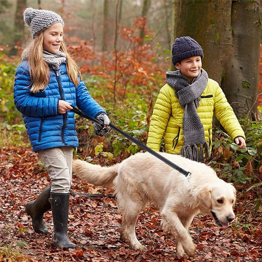 PG-0202 Coleira para cães grandes, 2 alças acolchoadas para tráfego para controle extra, 6 pés de comprimento com ponto reflexivo para caminhada noturna preta 