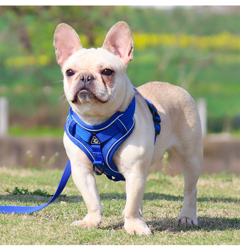 PG-0190 Coleira para cães pequenos, colete para animais de estimação, cinta peitoral reflexiva e respirável, coleira para cães 