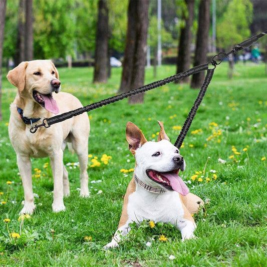 PG-0204 2 trela para cães, giratória de 360 ​​° sem emaranhado trela dupla para caminhada e treinamento de cães, confortável absorção de choque reflexiva com guia elástica para caminhada 2 cães com facilidade 