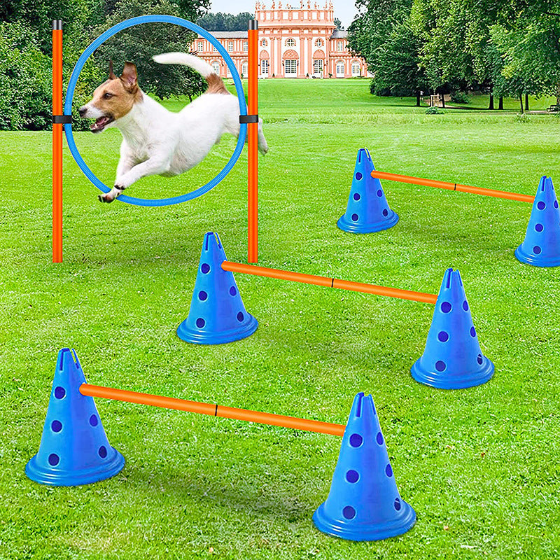 PG-0497   Dog Jump the circle pole obstacle course