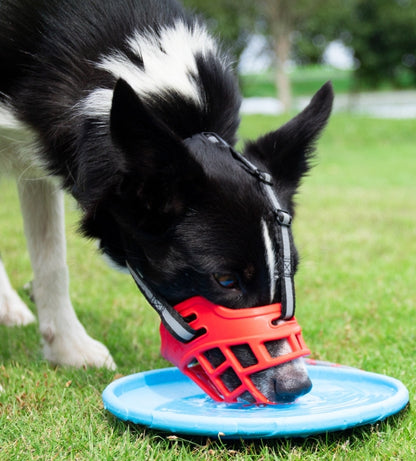 PG-0503 Adjustable and Comfortable Secure Pet Muzzle