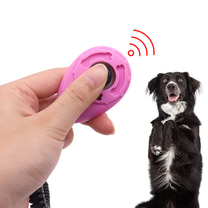 PG-0494     Pets Training Ring