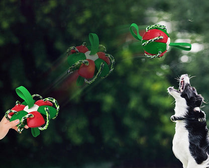 Bola de futebol de brinquedos para cães com alças, presentes de aniversário para filhotes, interativo para cabo de guerra, bolas duráveis ​​para cães pequenos e médios 