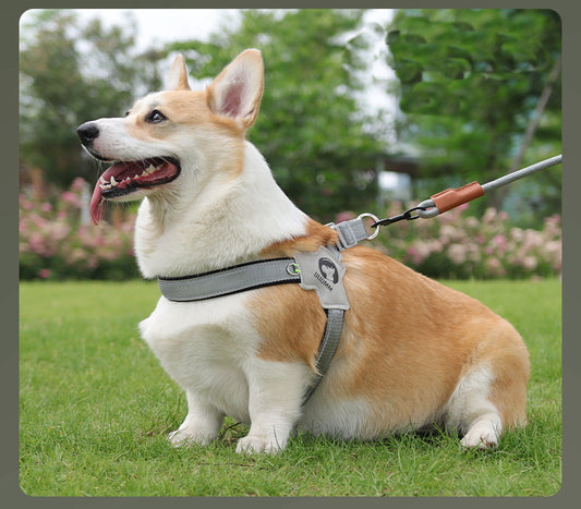 PG-0192 Trela ​​tipo sela cinta de peito para animais de estimação Respirável reflexivo peito de cachorro para trás coleira para animais de estimação trela para cães 