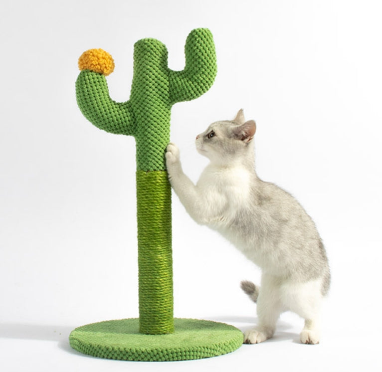 Cat Scratching Post for Indoor Cats