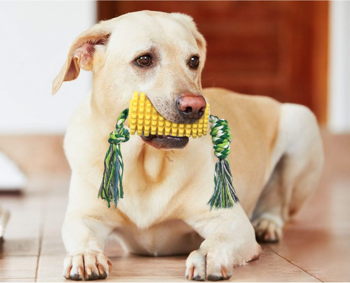 Puppy Toothbrush for Cleaning Teeth,Dog Squeak/Non-Squeak Toys Interactive Corn Toys