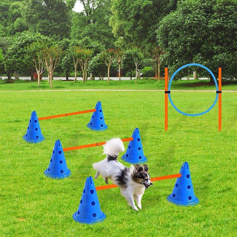 PG-0497   Dog Jump the circle pole obstacle course