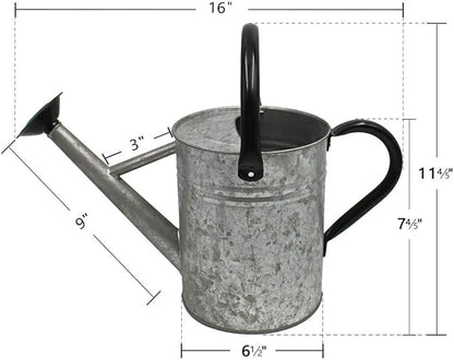 PG-0212   1 Gallon Galvanized Metal Watering Can for Outdoor Plants  – Decorative Farmhouse Style Watering Pot with Removable Spout