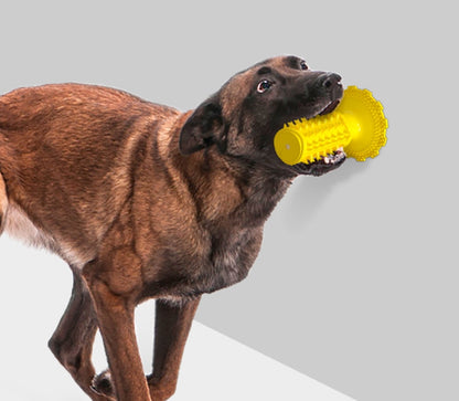 Brinquedos de mastigar para cães, mastigadores agressivos, ventosa, som, haste molar 