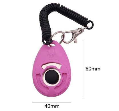 PG-0494     Pets Training Ring