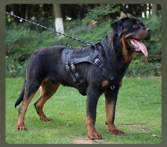 PG-0196  Pet Tactical Chest back vest Vest Vest Dog chest harness Oxford cloth dog leash