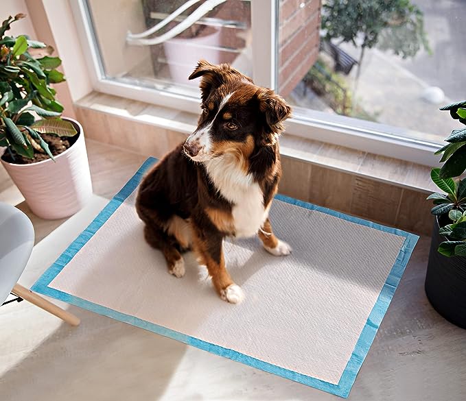 PG-0292  Pet Training and Puppy Pads Pee Pads for Dogs/Cats