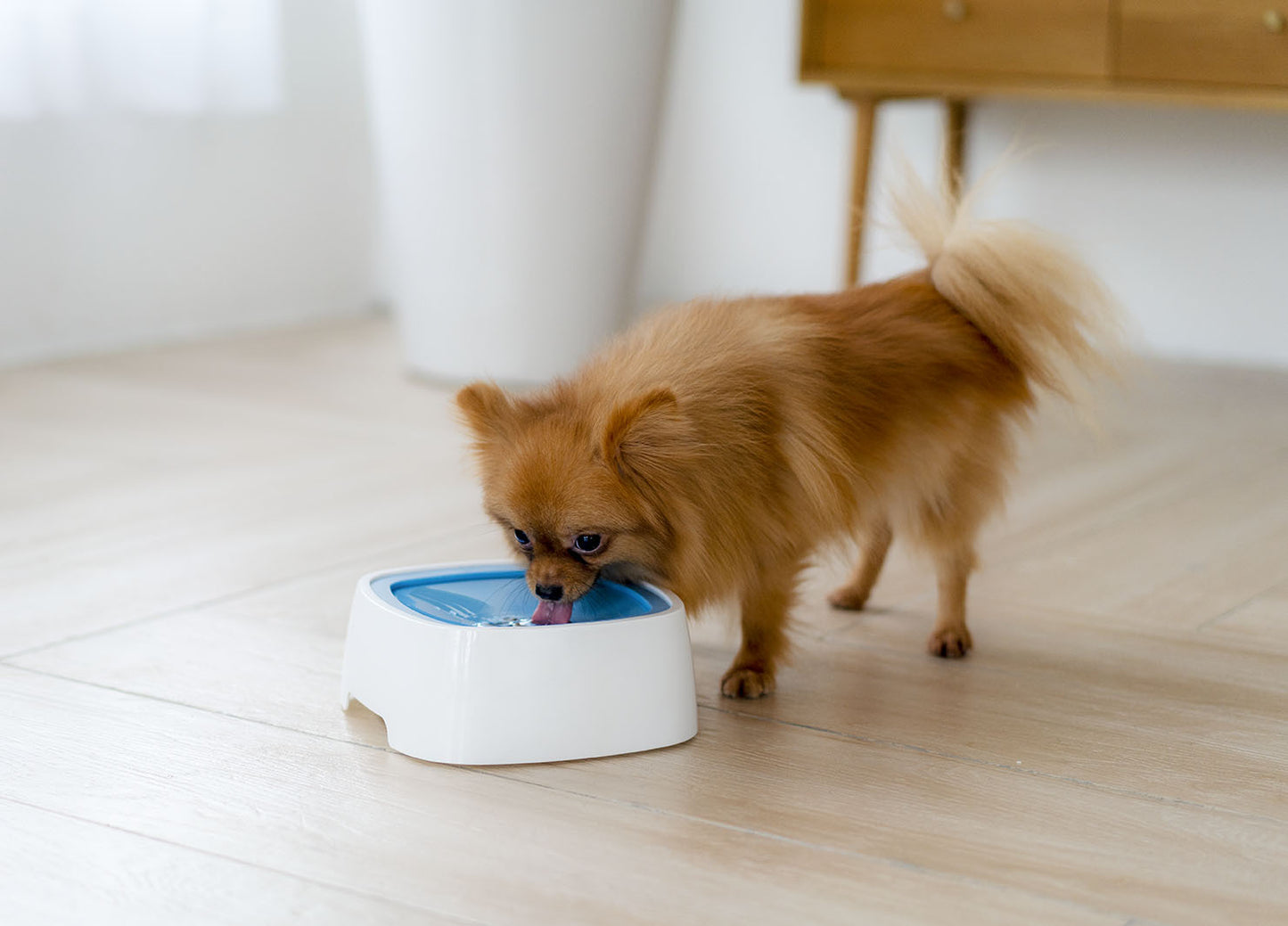 Tigela para cães, tigela de água para cães sem derramamento, tigela de água para animais de estimação, sem gotejamento, alimentador de água lento, tigela antiderrapante para animais de estimação 