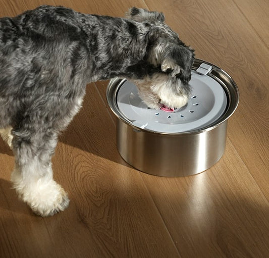 Stainless Steel No Spill Large Capacity Dog Food Water Bowl Slow Water Feeder, Spill Proof Pet Water Dispenser Vehicle Carried Travel Water Bowl for Dogs, Cats