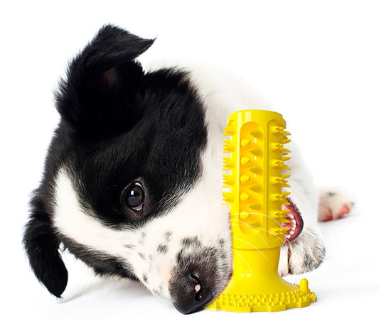 Brinquedos de mastigar para cães, mastigadores agressivos, ventosa, som, haste molar 