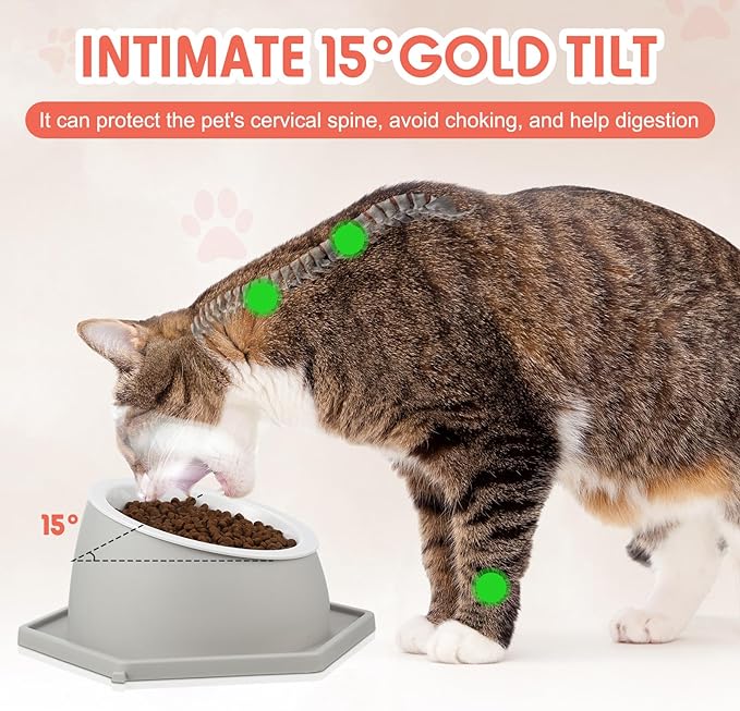 PG-0333    Raised pet Bowl Tilted 15° Slanted Dog Bowls Tilted Cat Food Bowls