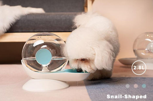 Snail water dispenser Large volume water dispenser for dogs and cats that automatically feeds water for pets