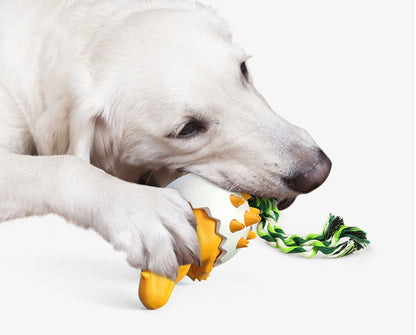 Cão mastigadores agressivos pequeno ovo de dinossauro cão molar vara mastigar suprimentos para animais de estimação escova de dentes para cães brinquedos para cães pode escovar os dentes para limpar dentes de animais de estimação ursos para cães