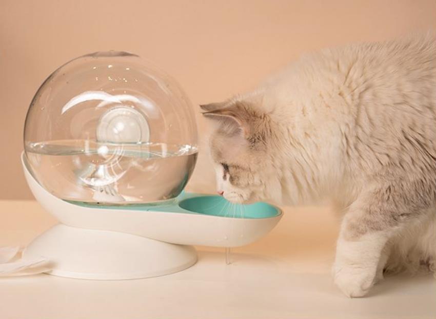 Dispensador de água de caracol Dispensador de água de grande volume para cães e gatos que fornece água automaticamente para animais de estimação