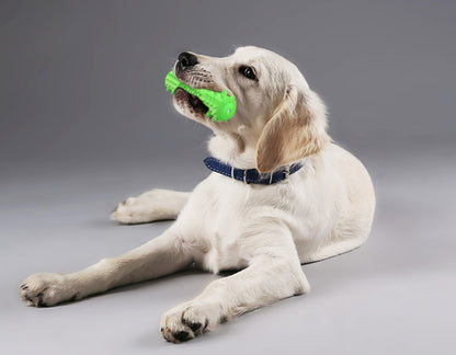 Brinquedos da mastigação do cão para mastigadores agressivos, vara da limpeza do cuidado da escova de dentes do cão, brinquedo da mastigação da escova de dentes do filhote de cachorro para o cão médio pequeno 