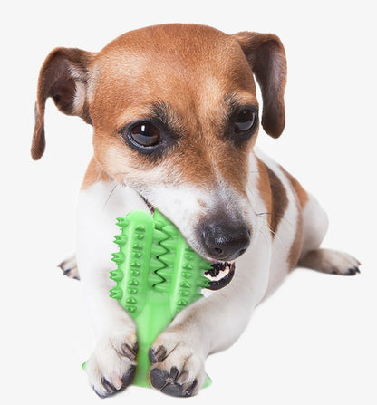 Brinquedos para mastigar cães para bastão molar de cacto agressivo 